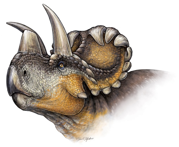 Life reconstruction of Wendiceratops pinhornesis by Danielle Dufault